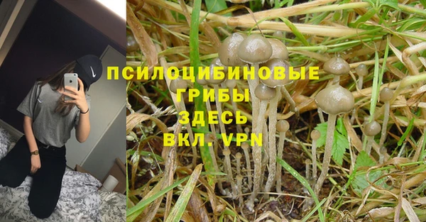 гашиш Сатка