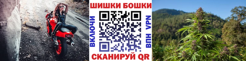 Конопля OG Kush  купить   mega сайт  Краснокаменск 